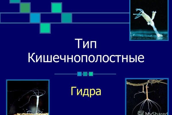 Kraken ссылка kraken torion