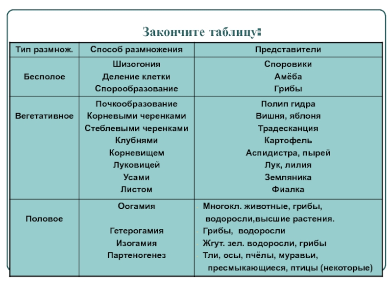 Кракен сайт store