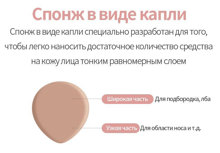 Kraken домен